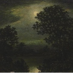 Owl In The Night
