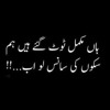 Ek Tu Hi Na Janee Haal Mera Mp3