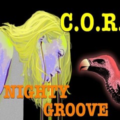 DJ C.O.R.  NIGHTY GROOVE