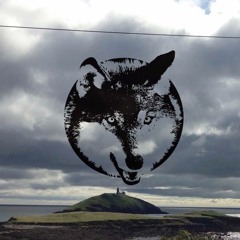 The Road To Ballycotton