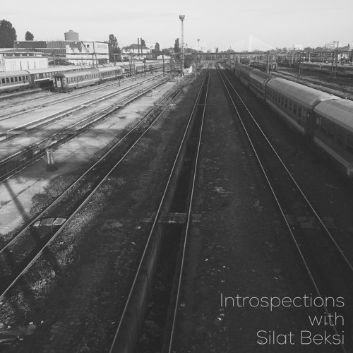 Introspections with Silat Beksi
