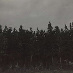Adolescence