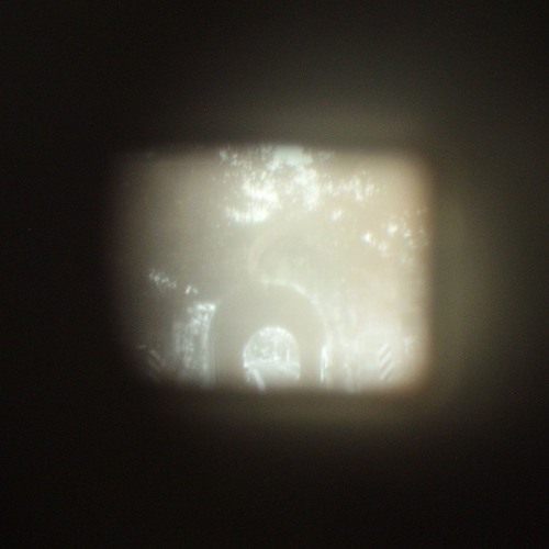 Kallie Lampel - Palindrome