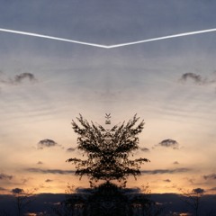 The Feeling Of Weightlessness - Chip&Chap