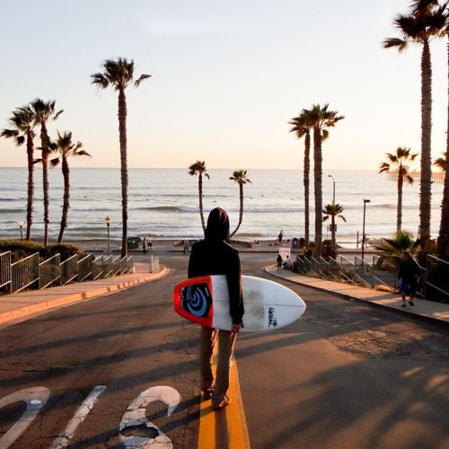 Vector Hold - California Gold