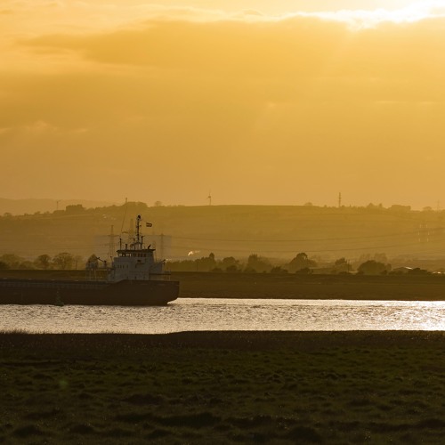 Wetlands Soundscape 5th May