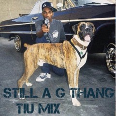 TIU Tiny- Still A G Thang