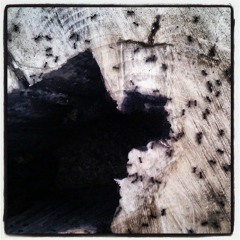 Au moins toute une semaine