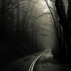 ...the hell is this?