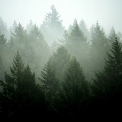 Fenetic - Inside Out