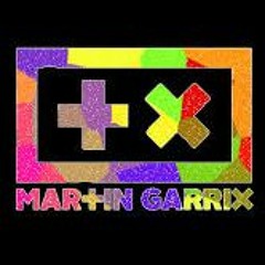 Avicii - Hold On Never Leave Ft. Martin Garrix