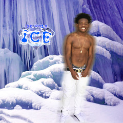 10K POLO X ICE (SLOWED)