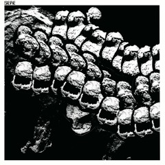 In Every Dream Home A Heartache (Roxy Music cover)