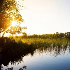 Dmirty P. – Ghost(Piano)