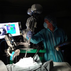 Would You Trust a Robot to Perform Your Surgery?