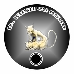 D.Kûsh & Megatrix500 - Sky Flowers (Barrio Megatrix500)