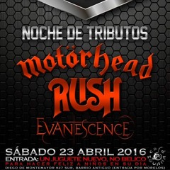 Evanecence Tribute - bring me to life