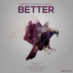 Chris Domingo & Miss T - Better (Atnarko's Infiltr8 Mix) [Clip]