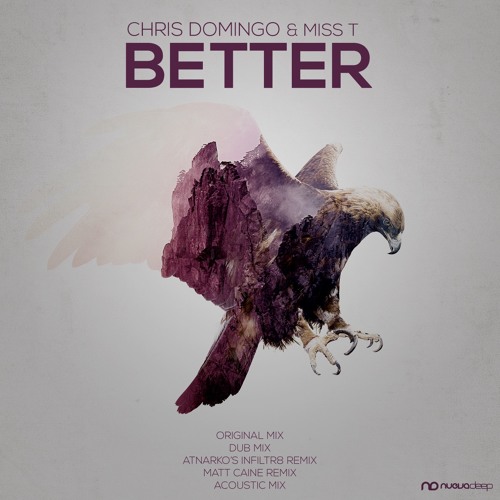 Chris Domingo & Miss T - Better (Atnarko's Infiltr8 Mix) [Clip]