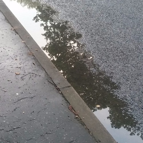 Rainy Day