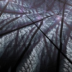 Completely Fractured