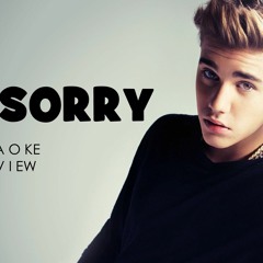 Justin Bieber - Sorry (Afrobeat By Dj D@vid) (1)