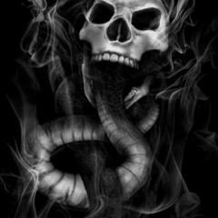 skull fuck you ...you bitch