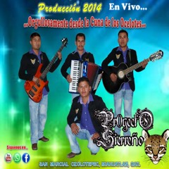 Grupo Proyecto Sirreño El molinito
