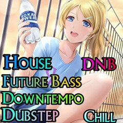 House/EDM/Future Bass/Dubstep/Chill/DNB/Drumstep