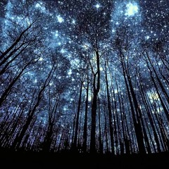 STARZ ((Nine Ft Yz #TagTeam#90baby#classic