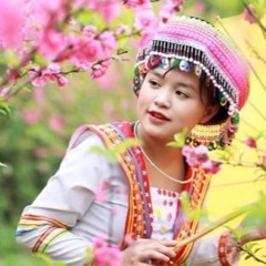 Tình Ca Tây Bắc