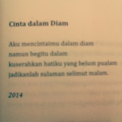 Cinta dalam Diam