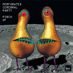 SOM 046 Perforated Cerebral Party - Pinch Of (Album) preview