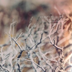 Robert Farrugia - Arpeggiator