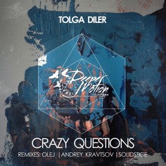 Tolga Diler - Crazy Questions (Andrey Kravtsov Remix)