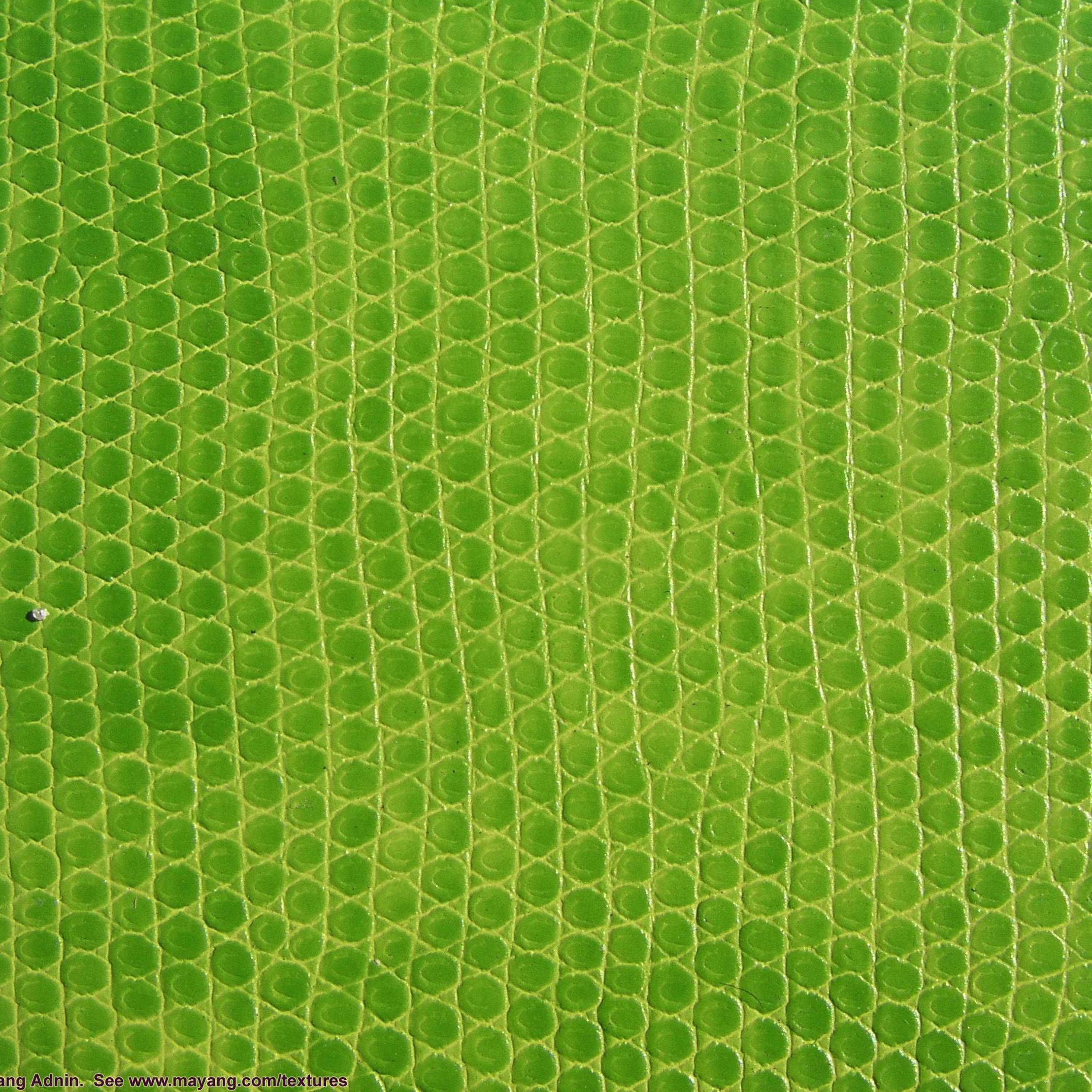 Green episode artwork