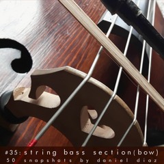 Snapshot 35 UprigthBassBowedSection