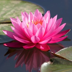 May 2016 New Moon Mother's Day Meditation