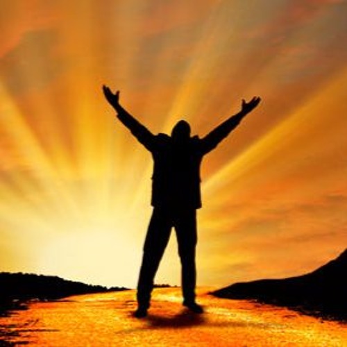 INZTRUMENTALZ 5 [D-ZiGN]...