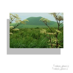 tokyo_ghost - Ｃｏｄｅｃ