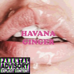 Havana Ginger (Ft. Zaebos) [Prod. Fumei]
