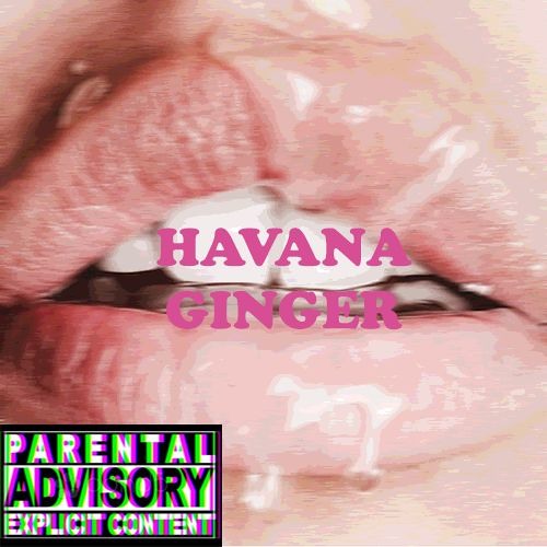 Havana Ginger Pics