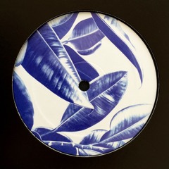 Acasual - Spring Theory (Tristen Rework) | Closer 06