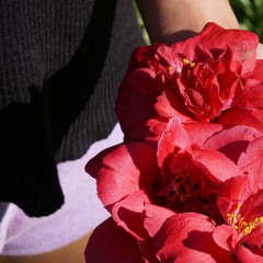 Riptide Vance Joy cacaphonie