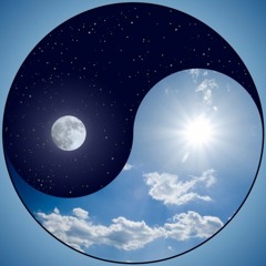 Simbiotic - Galaxy navigator 2005