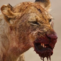 Freestyle x Mak Bandz