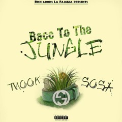 Mook Sosa- Bacc 2 Tha Jungle (Prod. By SunnyOnThaBeat)