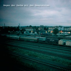 Wegen der Sache mit den Gaspistolen (Neo-Noir Hörbuch)