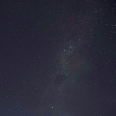 A Chorus Of Toadlets Squeak Underneath The Starry Sky