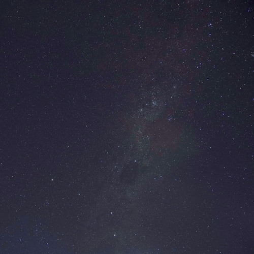 A Chorus Of Toadlets Squeak Underneath The Starry Sky